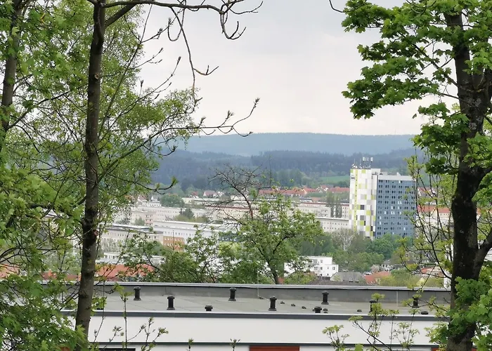 Bohnapartments - Stadtblick Zechenhaus - Balkon - Parkplatz - Wlan - Sehr Ruhig - Barrierearm イルメナウ