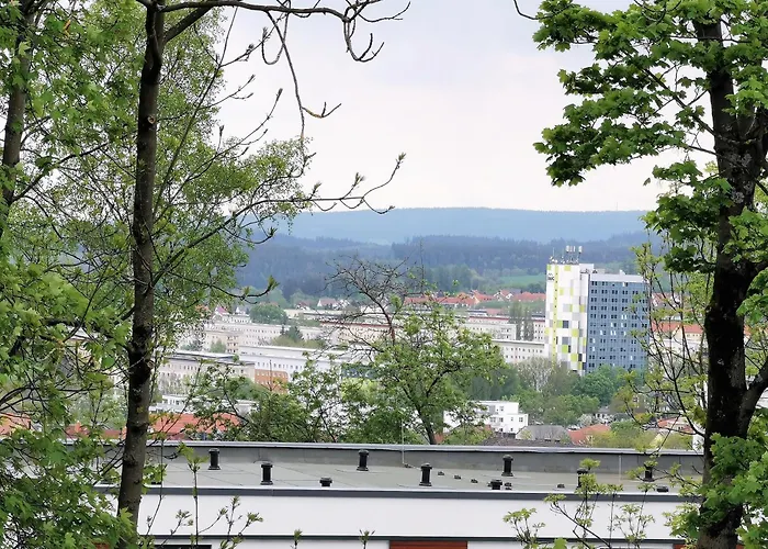 アパート Bohnapartments - Stadtblick Zechenhaus - Balkon - Parkplatz - Wlan - Sehr Ruhig - Barrierearm イルメナウ